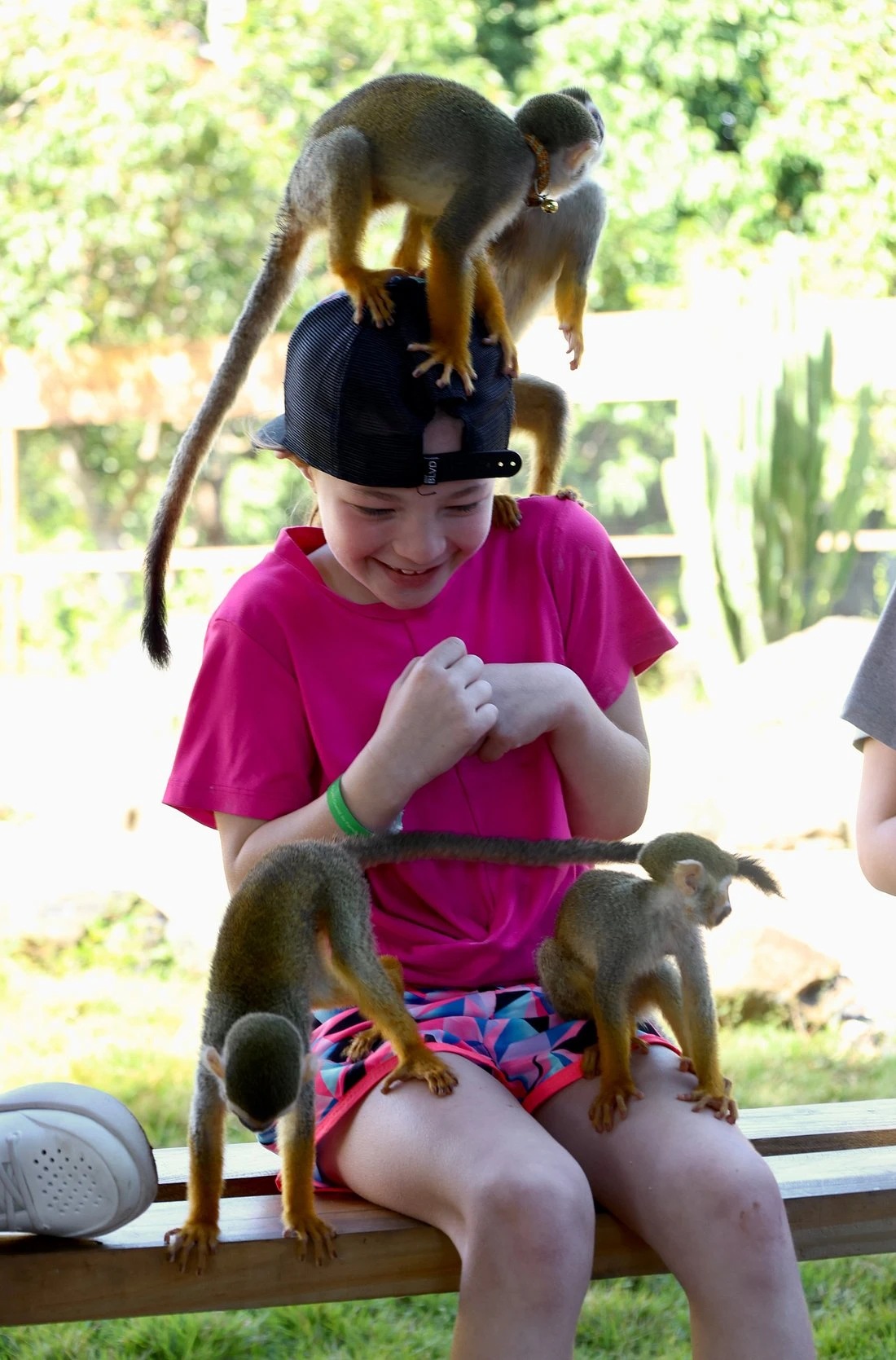 Monkey House VIP en Punta Cana: ¿Vale la pena en 2026?